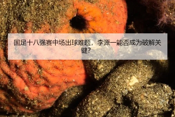国足十八强赛中场出球难题，李源一能否成为破解关键？